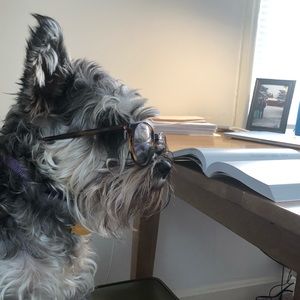 Meet your Posher, Melani